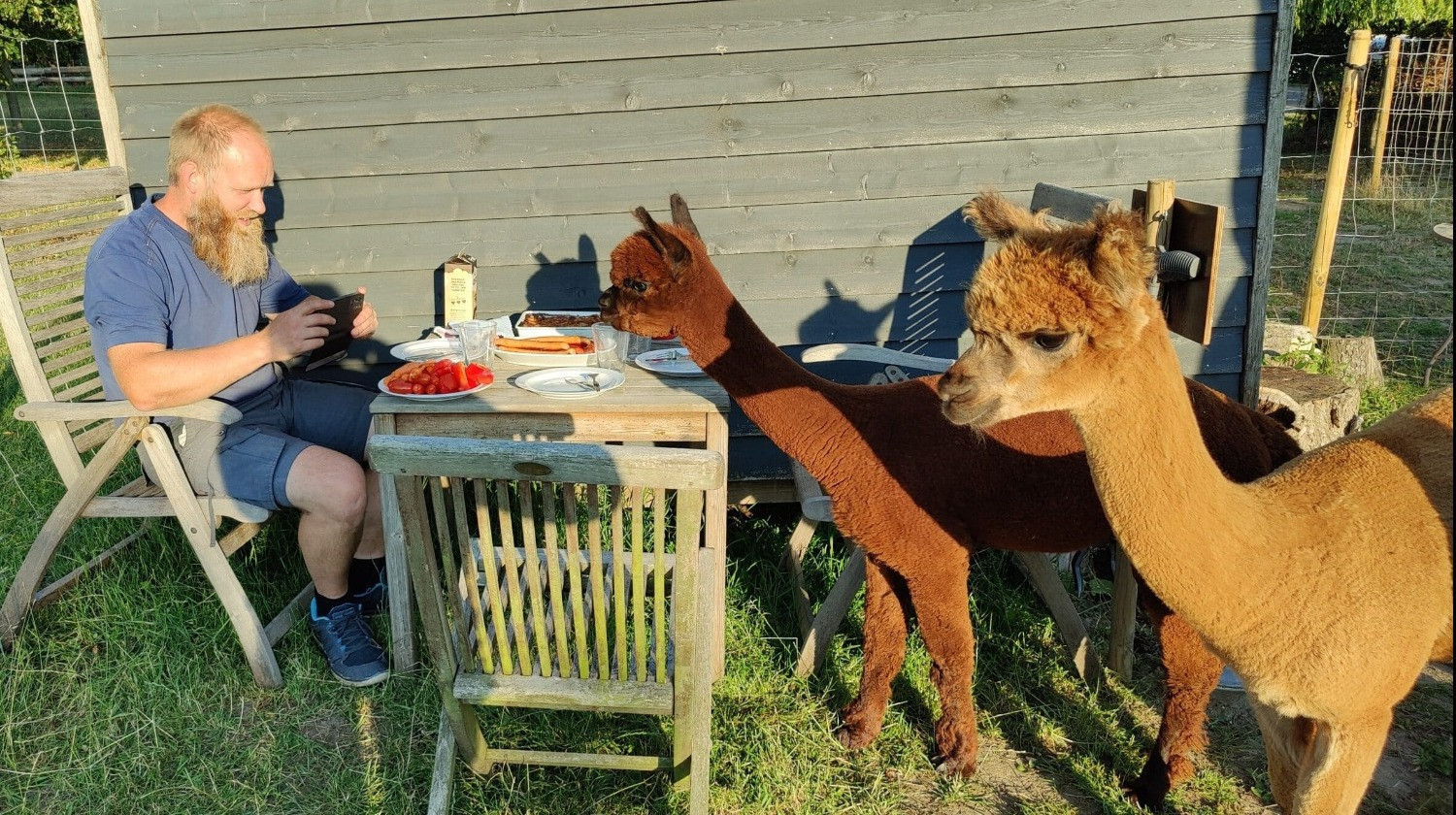 Alpacapark - Overnatning i AlpacaCamp - 3