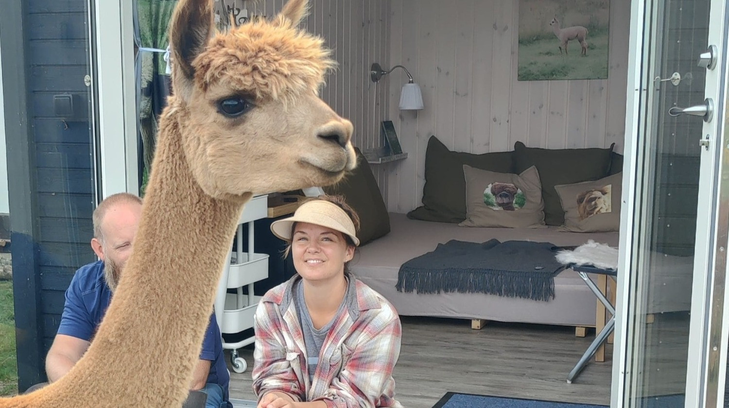Alpacapark - 2 nætter i AlpacaFryd - 1