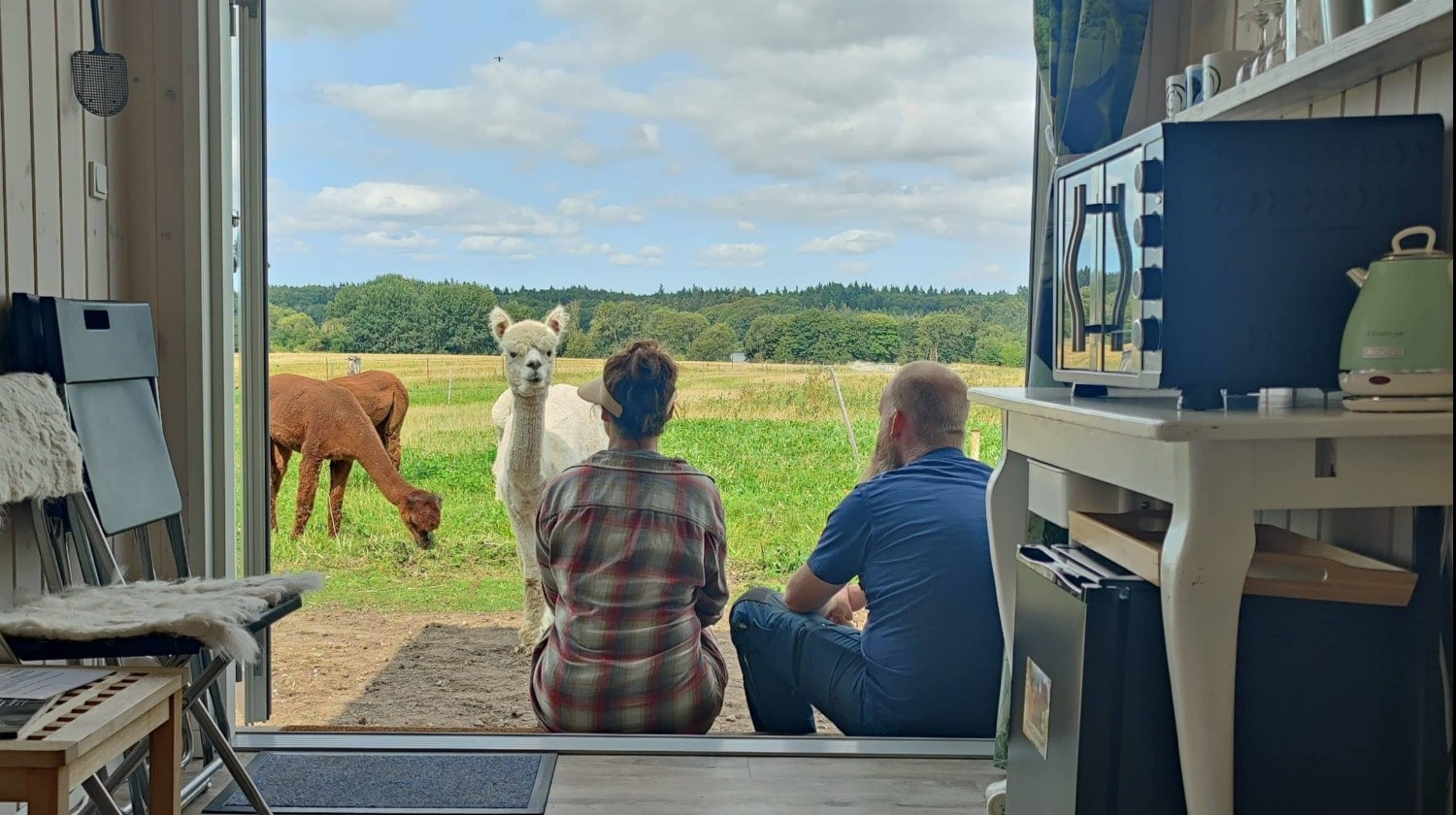 Alpacapark - 2 nætter i AlpacaFryd - 4