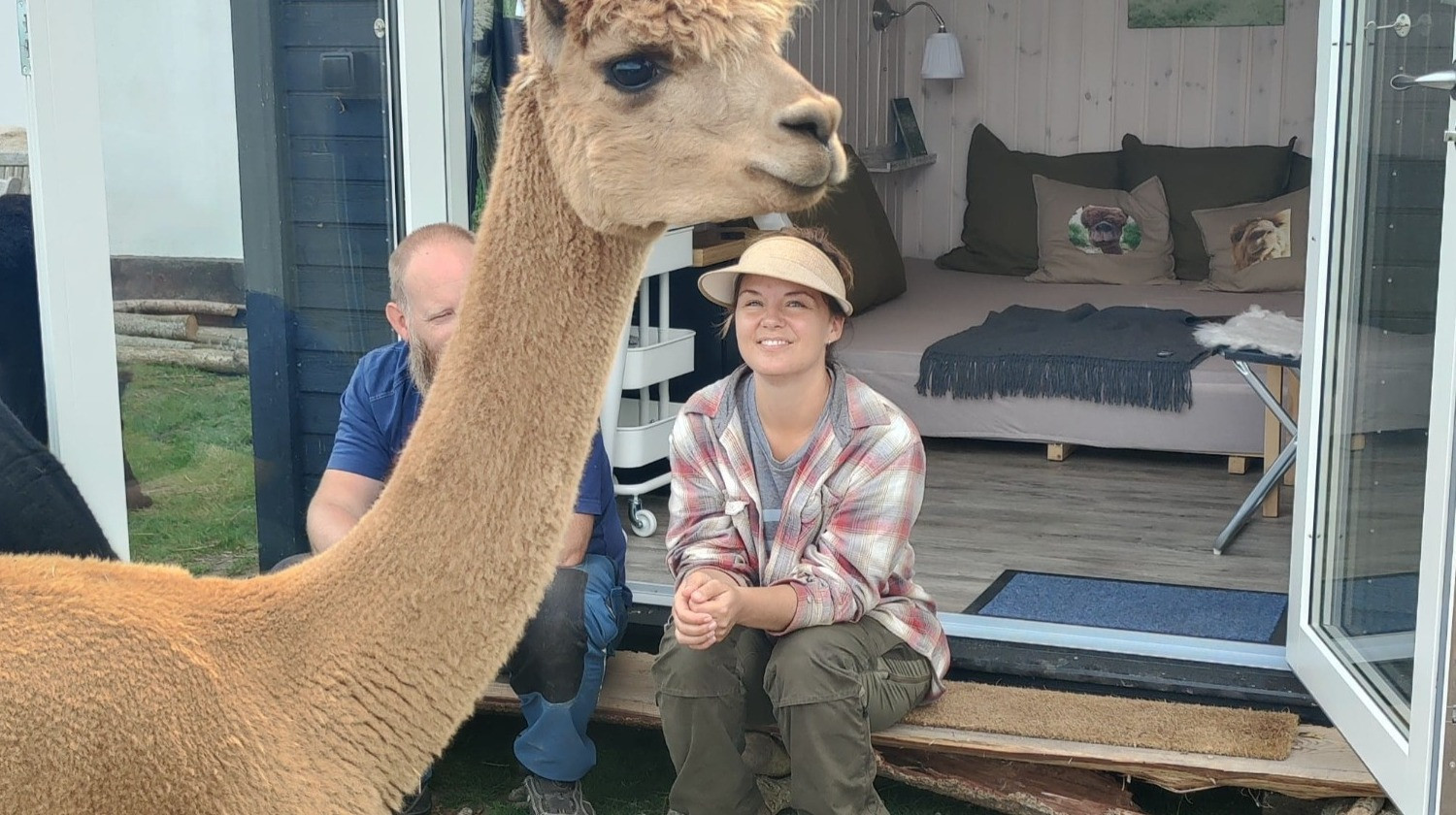 Alpacapark - Overnatning i AlpacaHome - 2