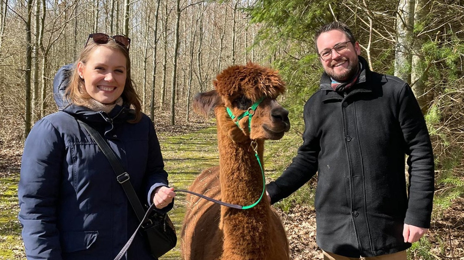 Alpacapark - VIP AlpacaGåtur - gåtur med alpaca - 1