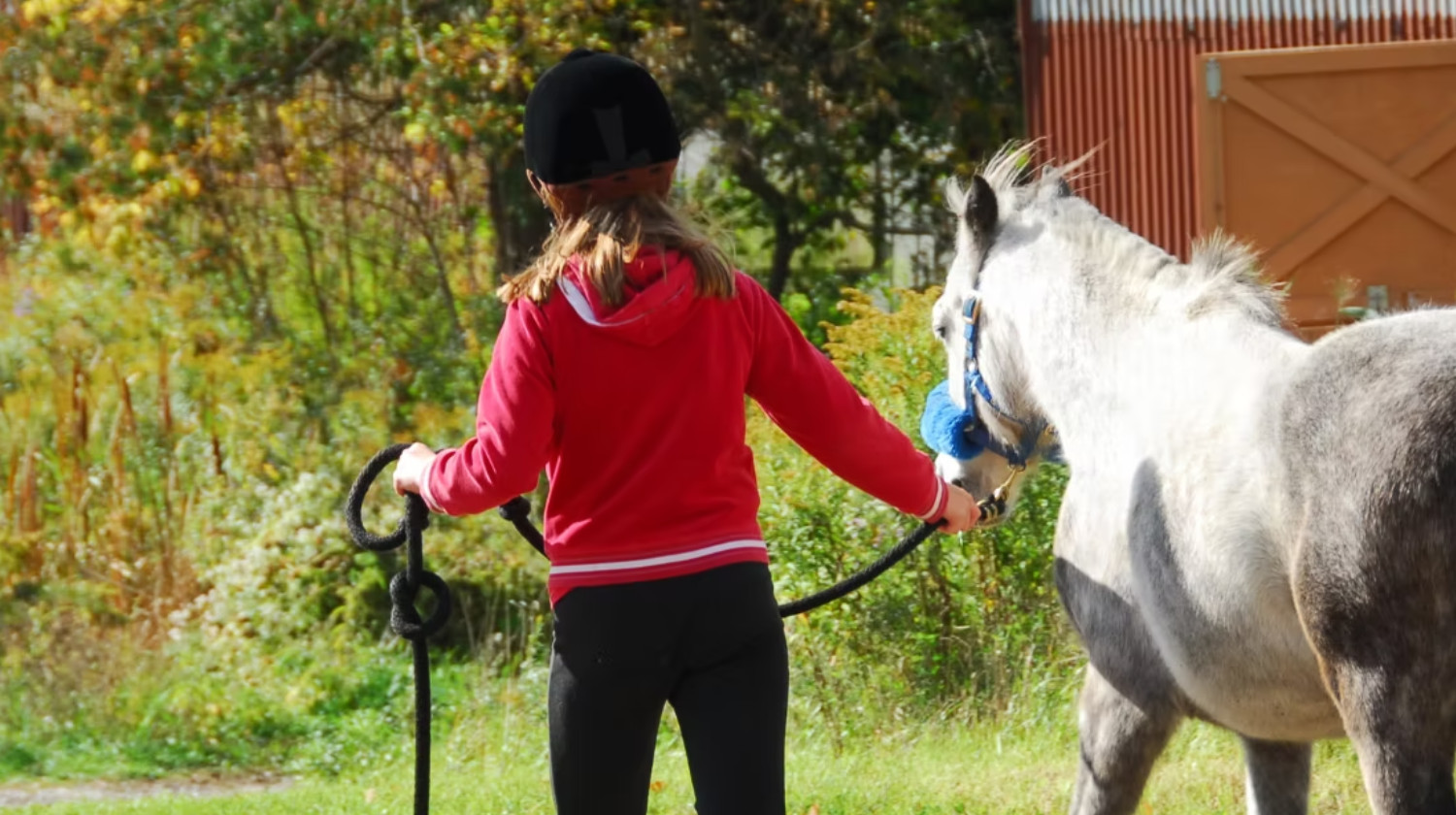 SOEMMI Heste & Alpakaer - Ridetur hos Soemmi - 3