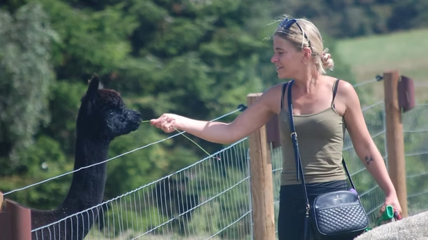 SOEMMI Heste & Alpakaer - 4